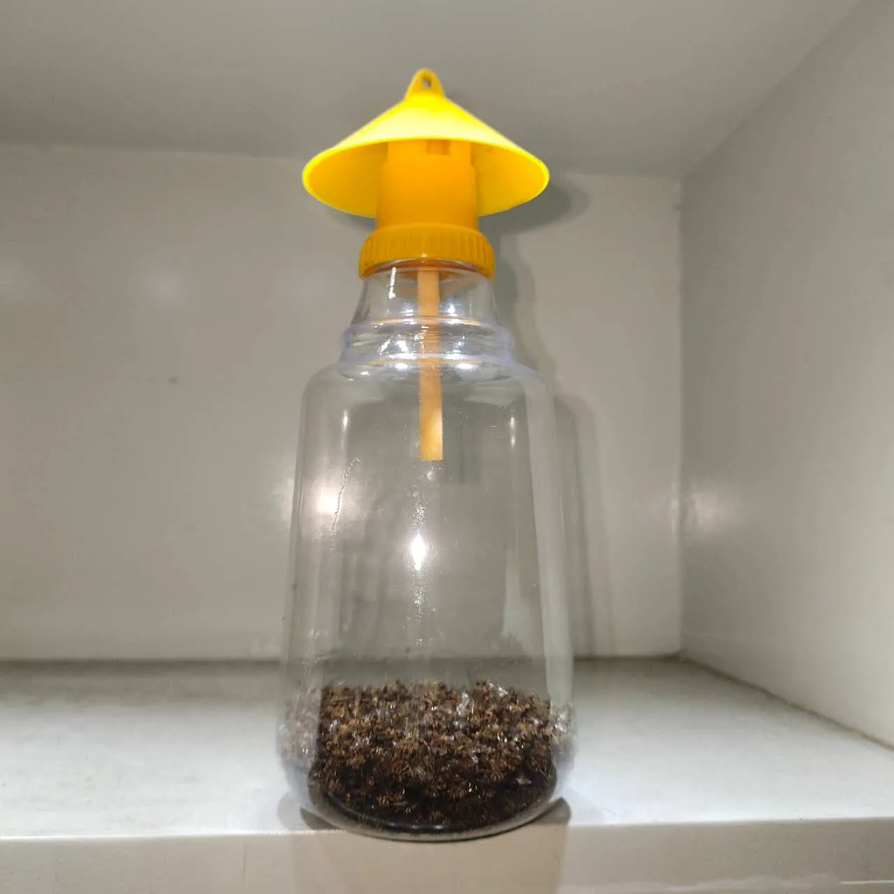 Agrotexbd Pheromone Trap এগ্রোভা ফেরোমন ফাঁদ : 1002 - Image 3