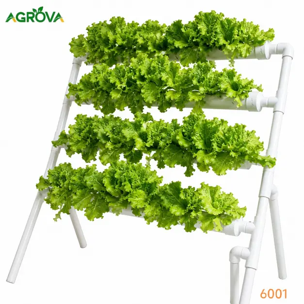 Agrotexbd NFT Hydroponic system 36 holes 4 rows Hy-6001